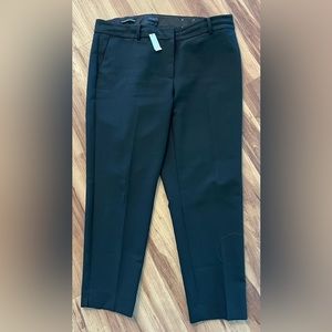 Talbots Dress 16 W pants - Never worn - Tag still on
